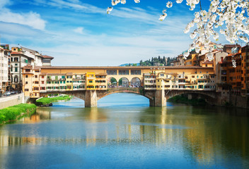 Obraz premium famous bridge Ponte Vecchio over waters of river Arno, Florence at spring day, Italy