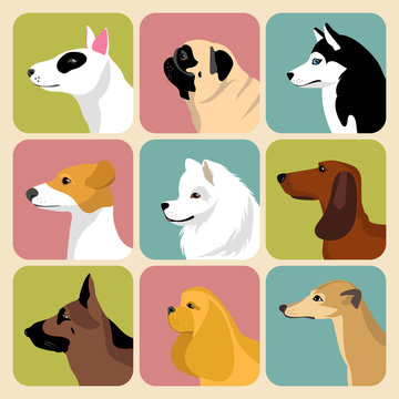 Vector set of different dogs icons in trendy flat style.