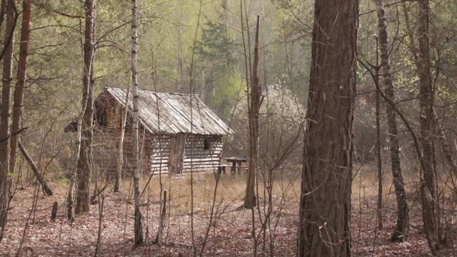 Wooden House in the Forest, long shot