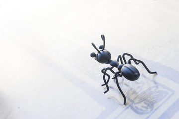 Ant figure