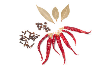 Different spices Pepper Chile, cloves, cardamom on a white background