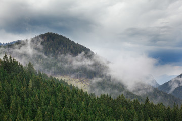Forested mountain slope in clouds with evergreen conifers shrouded in mist. Scenic landscape view. Slovakia, Nizke Tatry