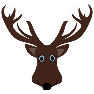 Cute funny deer head cartoon