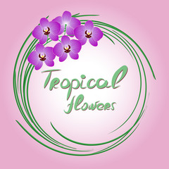 Vector tropical pattern with orchids. Exotic leaves and flowers are twisted and have a round label.