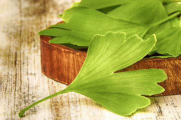 Collected medicinal leaves of the Ginkgo biloba tree in a bowl on the table wooden
 - obrazy, fototapety, plakaty