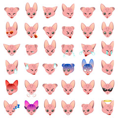 Sphynx Cat Emoji Emoticon Expression