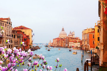 Basilica Santa Maria della Salute and Grand Canal at spring sunset, Venice, Italy