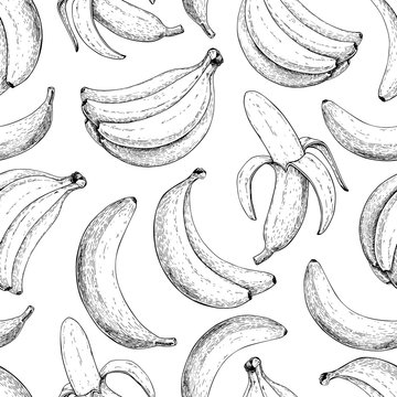 Banana vector seamless pattern. Isolated hand drawn bunch and peel banana Summer fruit engraved style illustration.