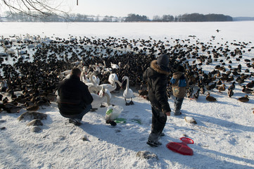 zima na Pojezierzu Drawskim © marsad