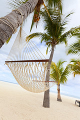 Hammock hanging between palm trees in luxurious five stars holiday resort on tropical paradise island