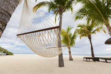 Hammock hanging between palm trees in luxurious five stars holiday resort on tropical paradise island