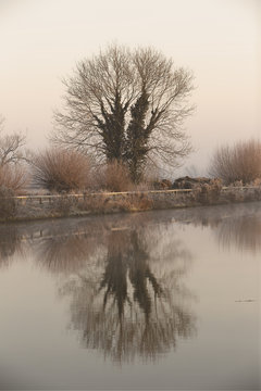 A winter tree beside the Gloucester and Sharpness Canal on a cold winter's morning, from Patch Bridge, Gloucestershire, England, UK.