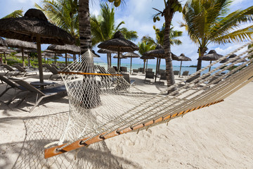 Empty hammock on tropical beach with palm leaf thatch roofing umbrellas and palm trees in the background