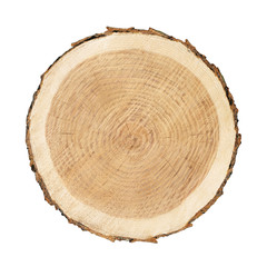 smooth cross section brown tree stump slice with age rings cut fresh from the forest with wood...