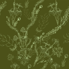 Seamless pattern. Vector. A bouquet of wild flowers and herbs, chamomile, peas. Background image.
