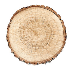 smooth cross section brown tree stump slice with age rings cut fresh from the forest with wood grain isolated on white - 141416549