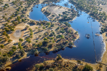 Okavango delta (Okavango Grassland) is one of the Seven Natural Wonders of Africa (view from the...