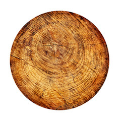 Obraz premium Old wood slice on white background. Round cut down tree with annual rings as a wood texture.