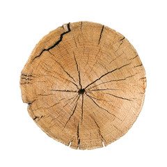 Old cracked wood isolated on the white background. Round cut down tree with annual rings as a wood texture.