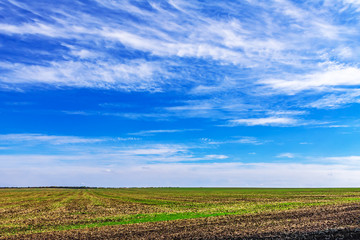 Fototapeta na wymiar Bright blue sky and clouds in the autumn day over the field. Nature landscape.