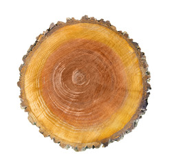 Large circular piece of wood cross section with tree ring texture pattern and cracks isolated on white background. Detailed organic surface from nature.