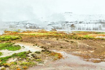 Strokkur geyser in Iceland