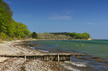 Baltic seashore with beach and wooded cliff