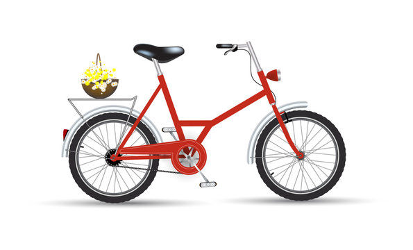 Bicycle with flowers icon design isolated.