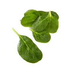 spinach isolated on white background