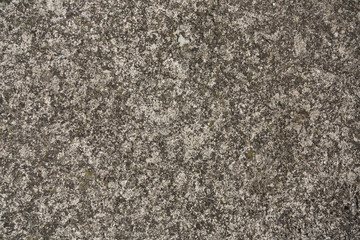 Old concrete covered with moss background.