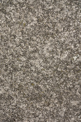Old concrete covered with moss background.