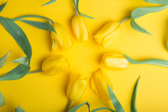 Fototapeta Bouquet of tulips in color background