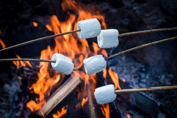 Delicious and sweet marshmallows on stick over the bonfire - obrazy, fototapety, plakaty