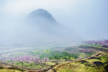 The spring countryside scenery in the mist