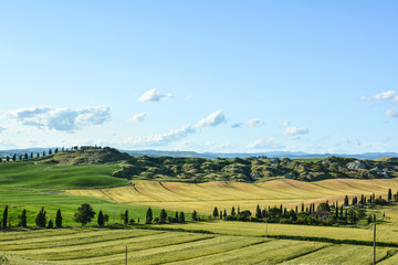 Fototapeta na wymiar scenic views of the hills of Siena in Tuscany Italy, in spring