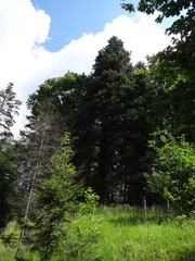 National Park of Slovenský raj