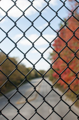 Fototapeta premium Chain Link Fence Overlooking a Park