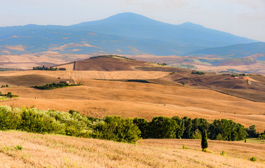 Obraz premium panorama of the Tuscan land in Italy