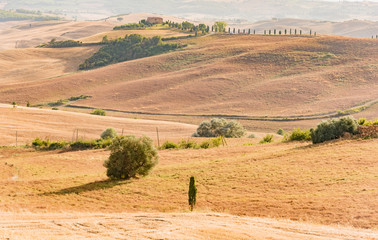Obraz premium panorama of the Tuscan land in Italy