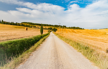 Naklejka premium panorama of the Tuscan land in Italy