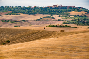 Fototapeta premium panorama of the Tuscan land in Italy
