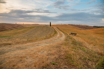 Fototapeta na wymiar panorama of the Tuscan land in Italy