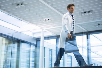 Fototapeta premium Male doctor walking with x-ray report in corridor
