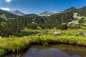 Obraz premium Panoramic view of Banderishki Chukar Peak and mountain river, Pirin Mountain, Bulgaria