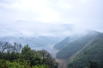 The mountains scenery in the mist
