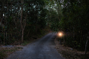 Obraz premium The lamp pole in the park 