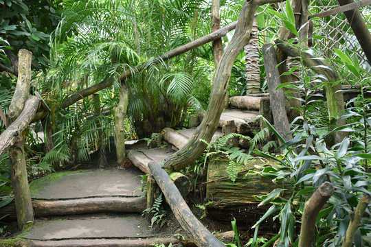 Leipzig Germany - Stairs in Gondwanaland of the Leipzig Zoo indoor