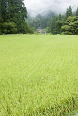 世界遺産　五箇山点景