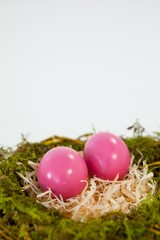 Pink Easter eggs in the nest