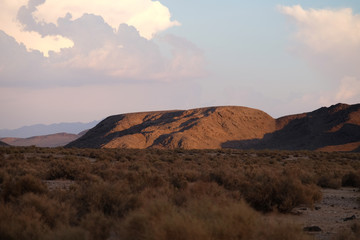 Naklejka premium California Desert - Roadtrip United States